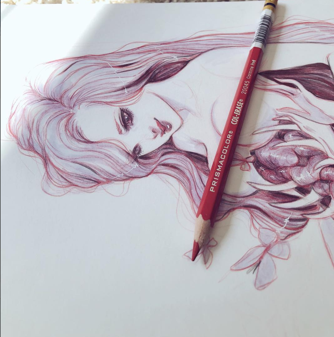 Looking for Butterflies