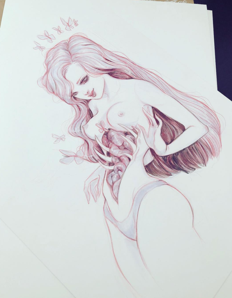 Looking for Butterflies