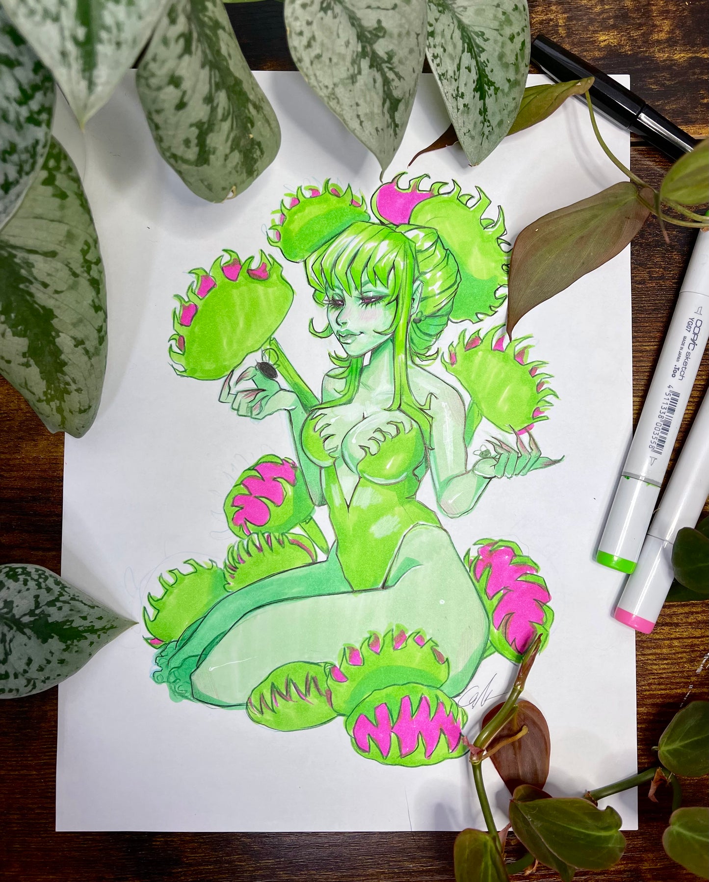 Venus Fly Trap | Original