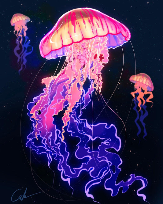 Jellyfish