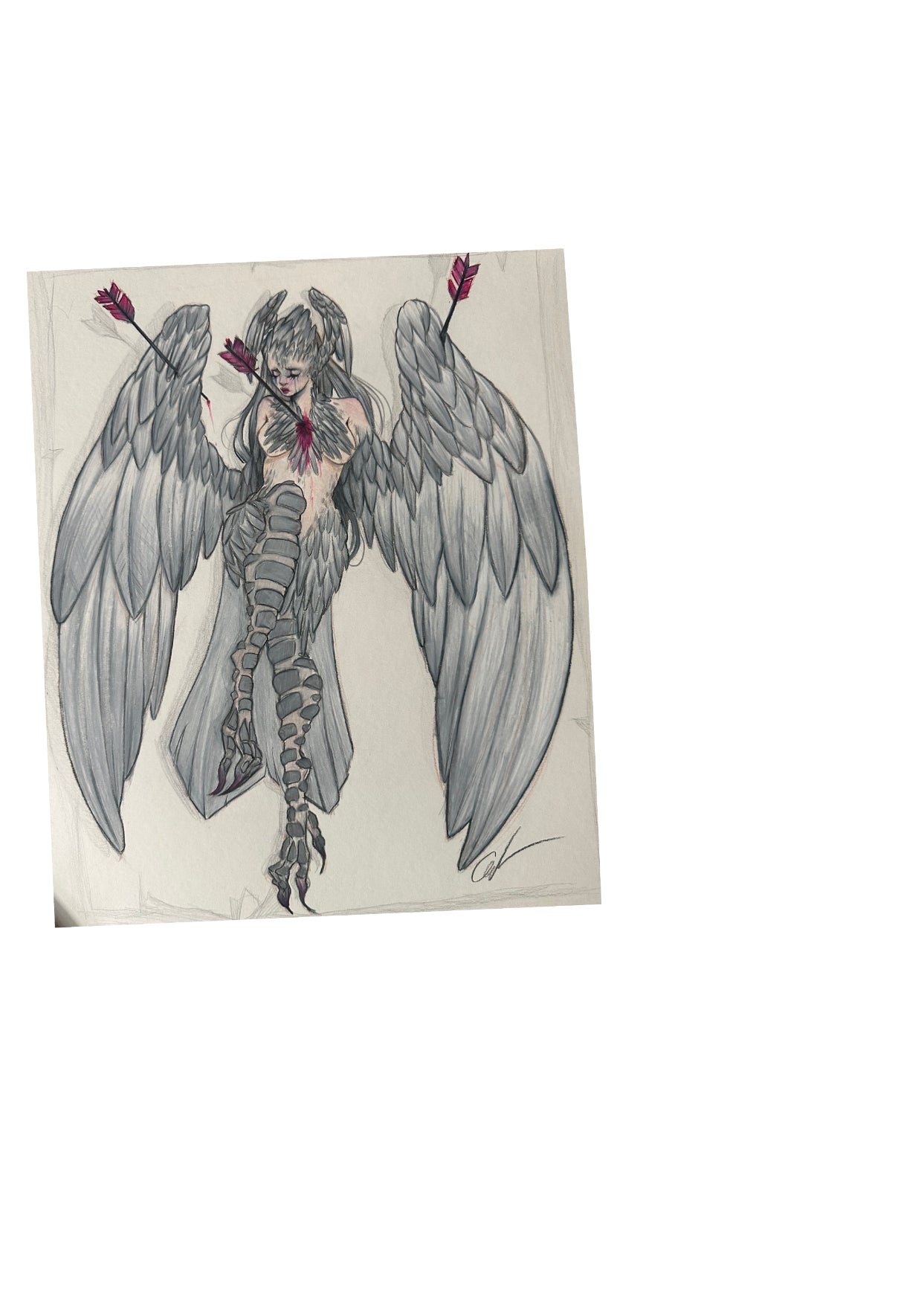 Harpy Pack