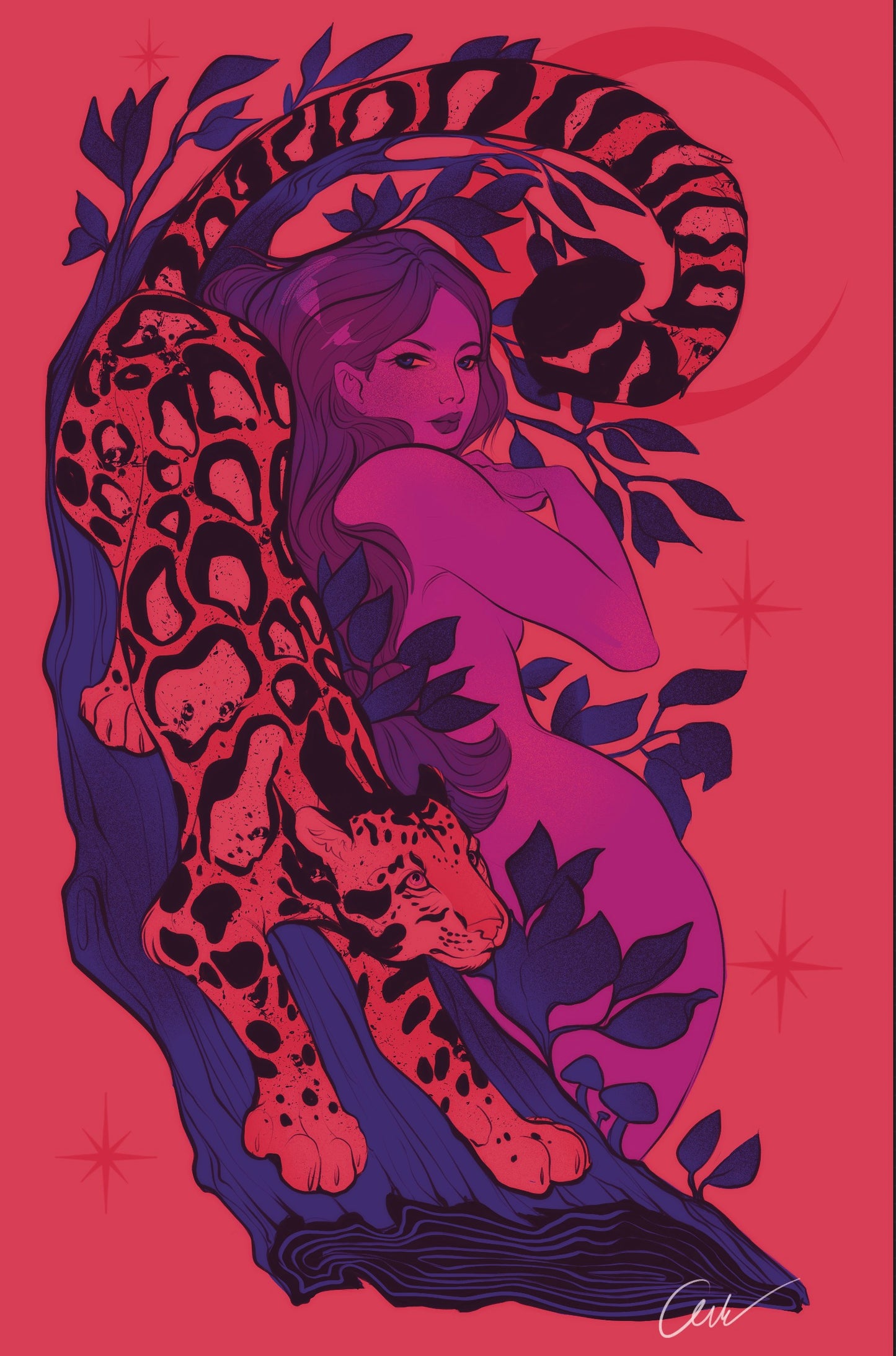 Clouded leopard